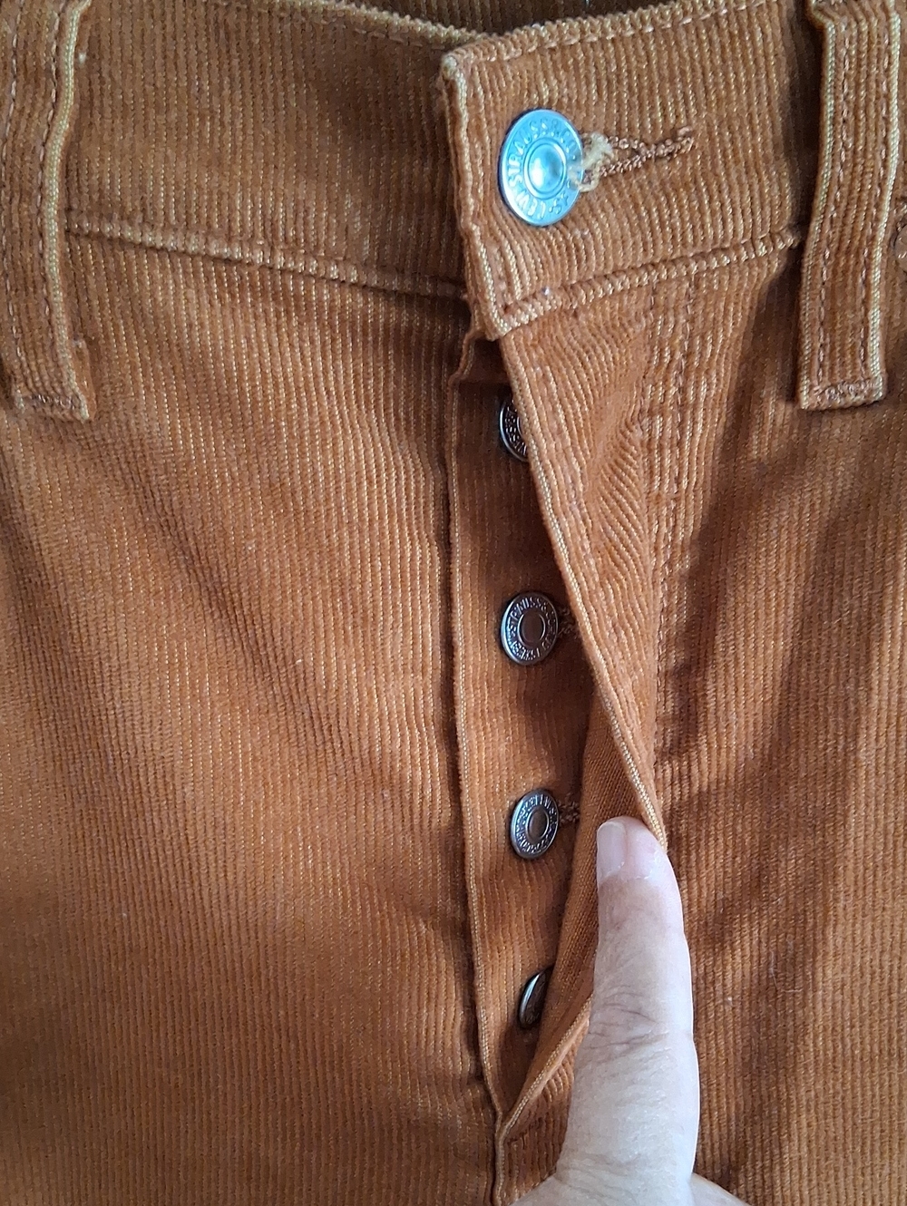 Levi's Premium Button Fly Rust Corduroy Boho Western Ribcage Flare Pants Sz 27 - Picture 4 of 10